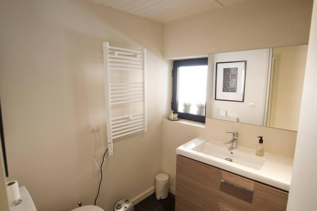 אלפ Apartament Central Amb Terrassa מראה חיצוני תמונה